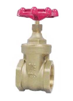 �ձ�����KITZ�~�l�y